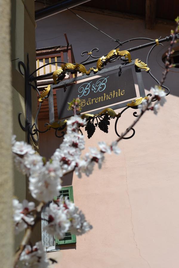 B&B La Tana Dell'Orso - Die Baerenhoehle Castello-Molina di Fiemme Exterior foto